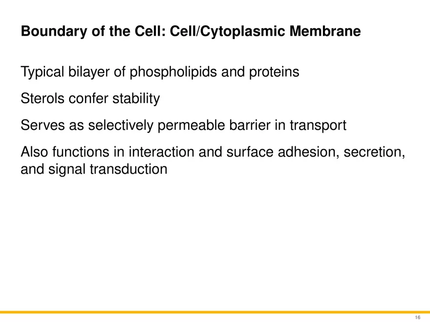 A Survey of Eukaryotic Cells and Microorganisms Part 2 - Page 5