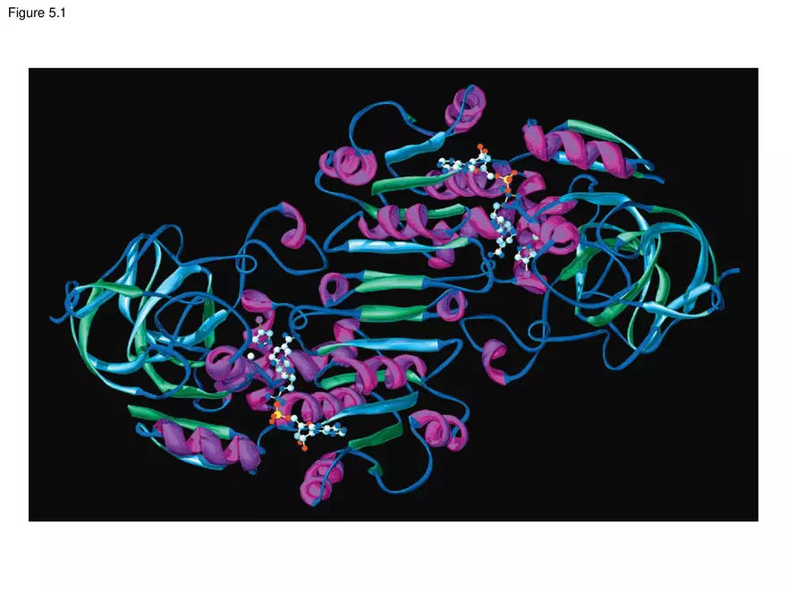 Biological Macromolecules and Lipids Lecture - Page 3