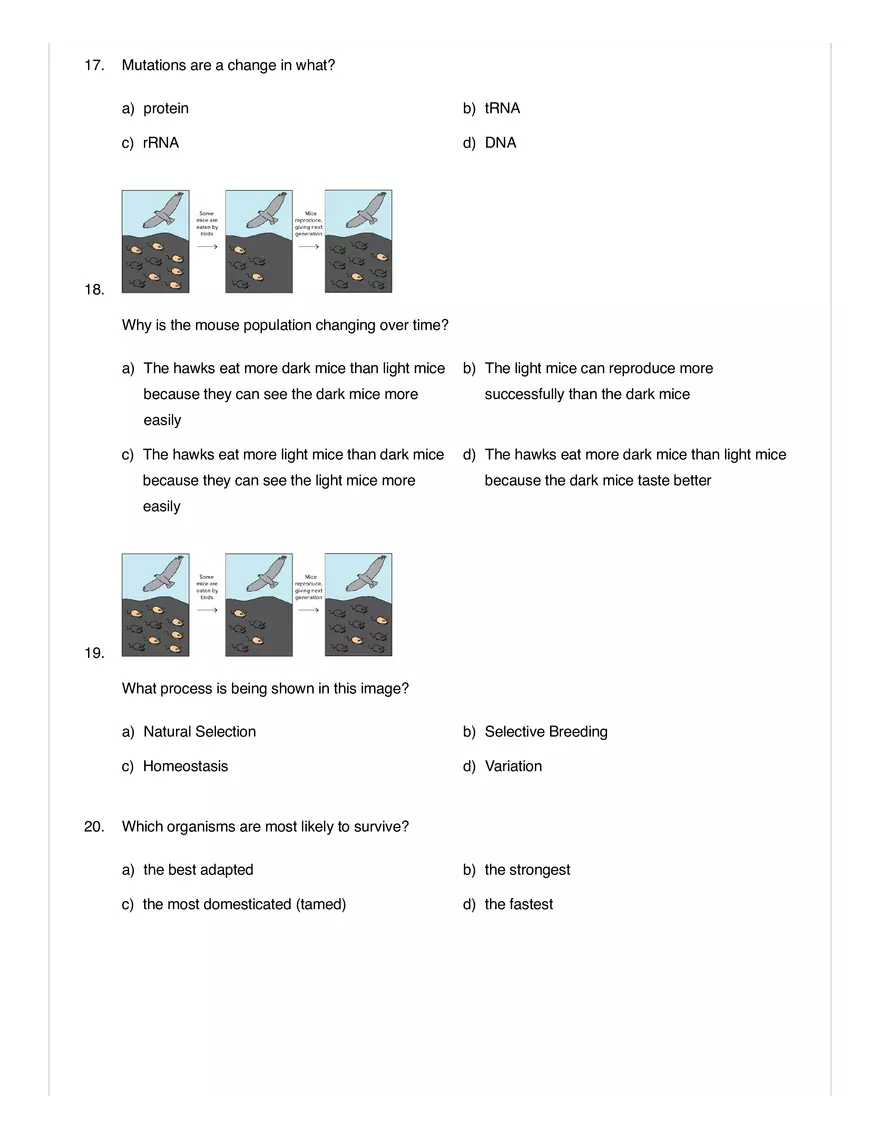 Natural Selection and Adaptations Quiz - Page 4