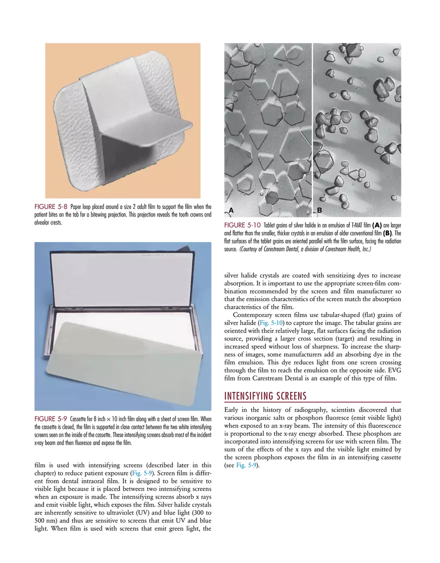 Film Imaging Study Guide - Page 4