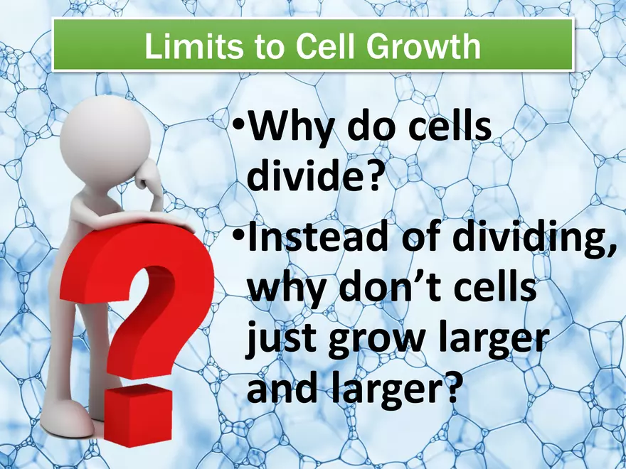 Limits to Cell Growth - Page 2