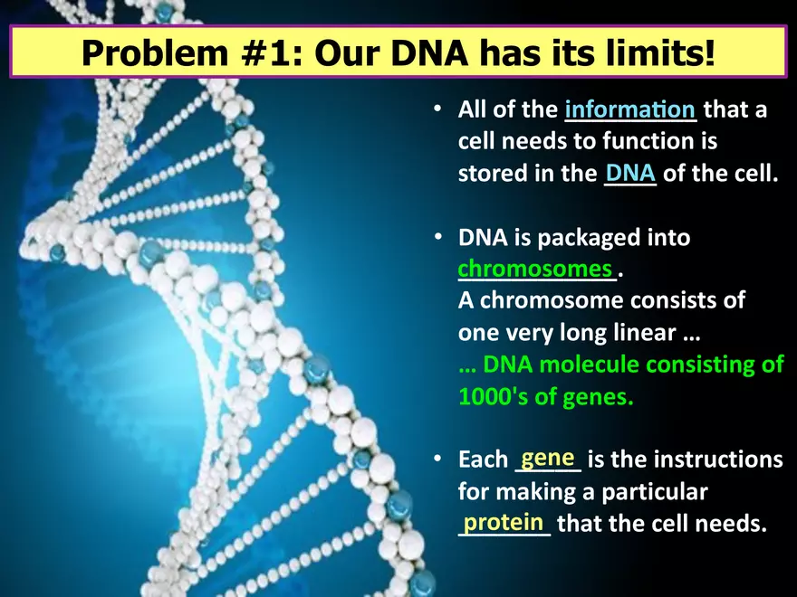 Limits to Cell Growth - Page 4