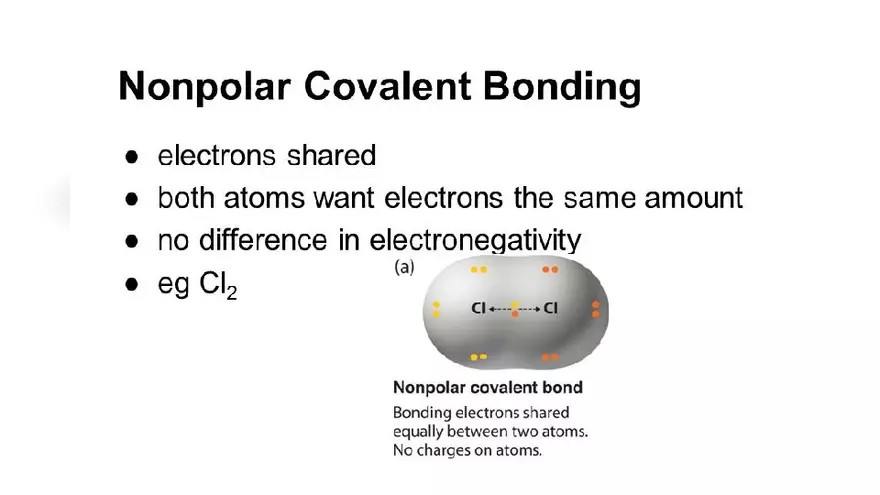 The Ammonium Cation Lecture - Page 8