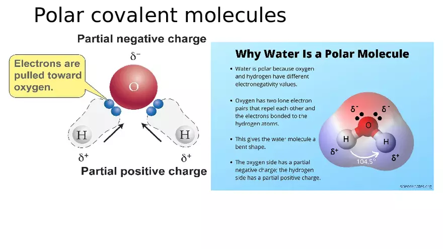 The Ammonium Cation Lecture - Page 9