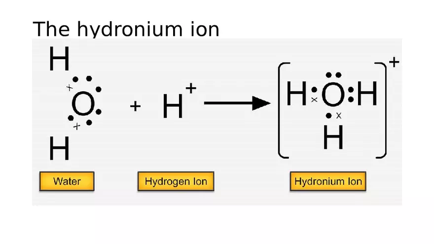 The Ammonium Cation Lecture - Page 3