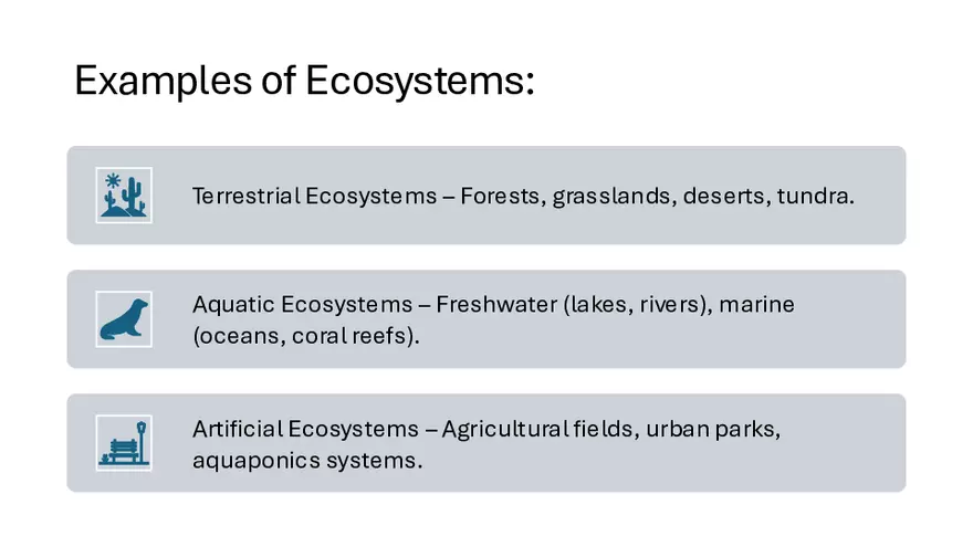 Structure and Functions of Eco Systems - Page 4