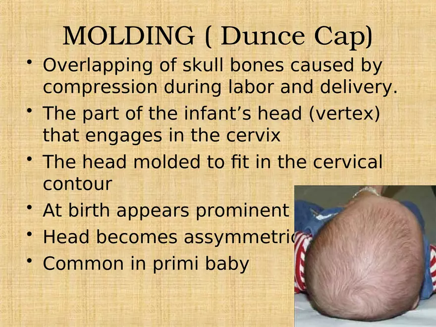 Profile of the Newborn Lecture Part 3 - Page 4