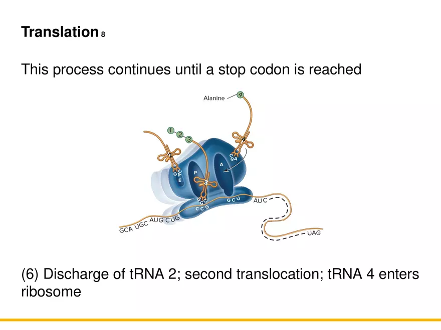 An Introduction to Microbial Genetics Lecture Part 6 - Page 9