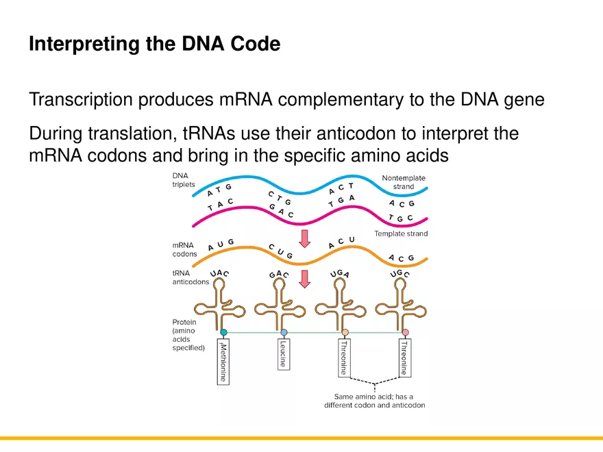 An Introduction to Microbial Genetics Lecture Part 6 - Page 1