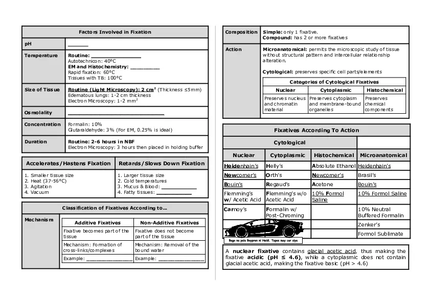 Basic Histology Part 2 - Page 2