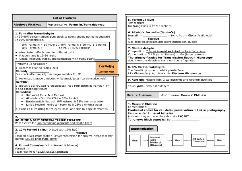 Basic Histology Part 2 - Page 3