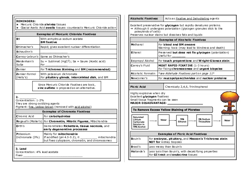 Basic Histology Part 2 - Page 4