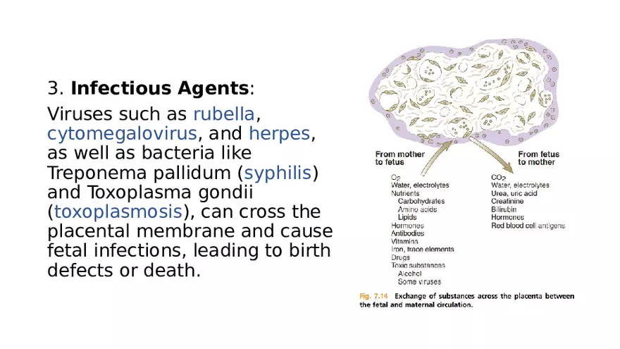 Placenta, Extraembryonic Membranes, and Multiple Pregnancies Part 4 - Page 6