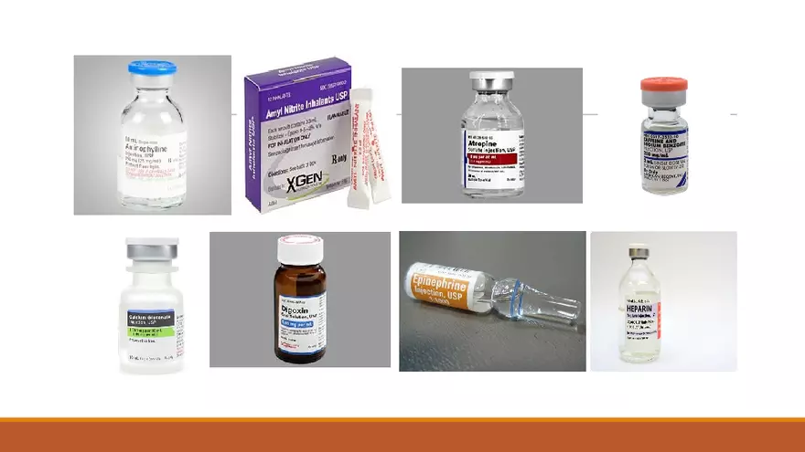 Chapter 4 Pharmacy and Therapeutics Committee 3 - Page 3