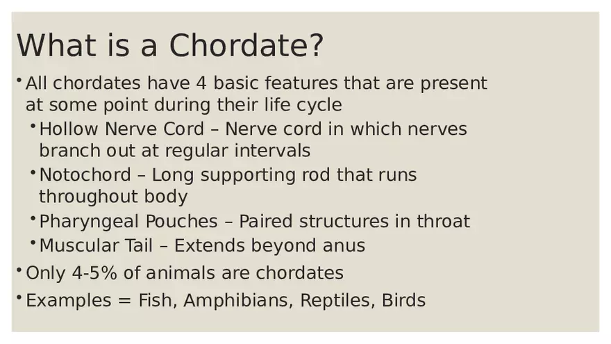 Vertebrates - Page 7