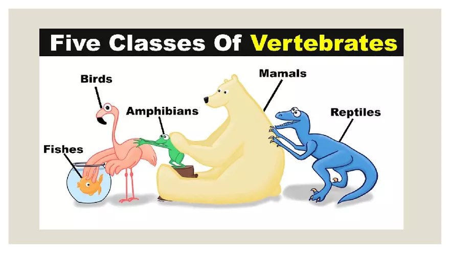 Vertebrates - Page 2