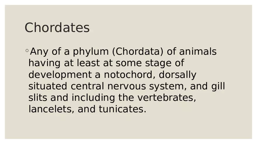 Vertebrates - Page 6