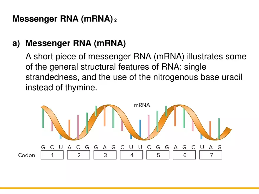 An Introduction to Microbial Genetics Lecture Part 4 - Page 10