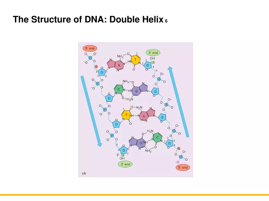 An Introduction to Microbial Genetics Lecture Part 2 - Page 6
