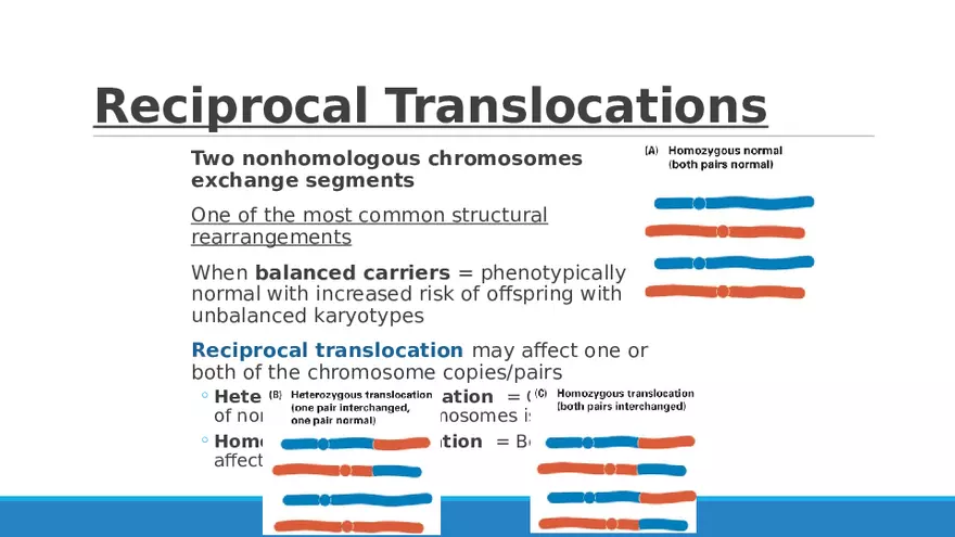 Summary of Aneuploidies Part 1 - Page 9