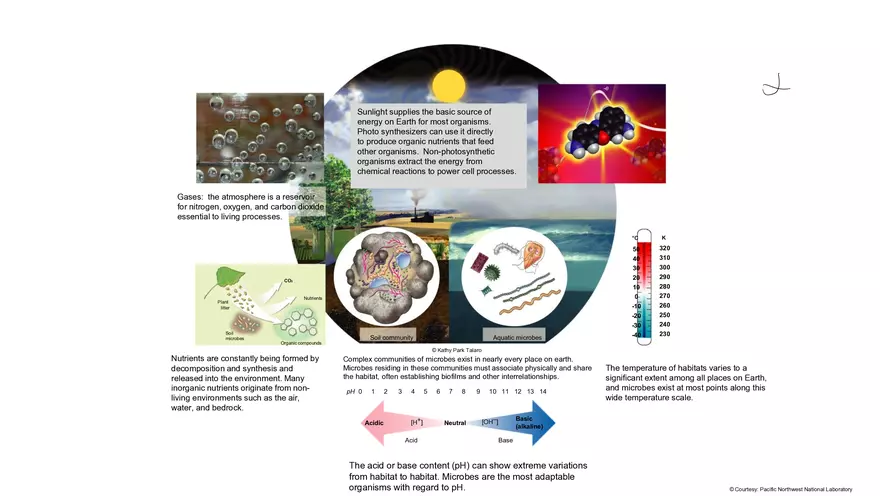 Environmental Influences and Control of Microbial Growth - Page 4