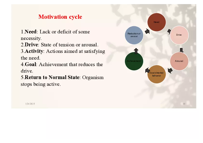 Understanding Motivation Lecture Part 1 - Page 13