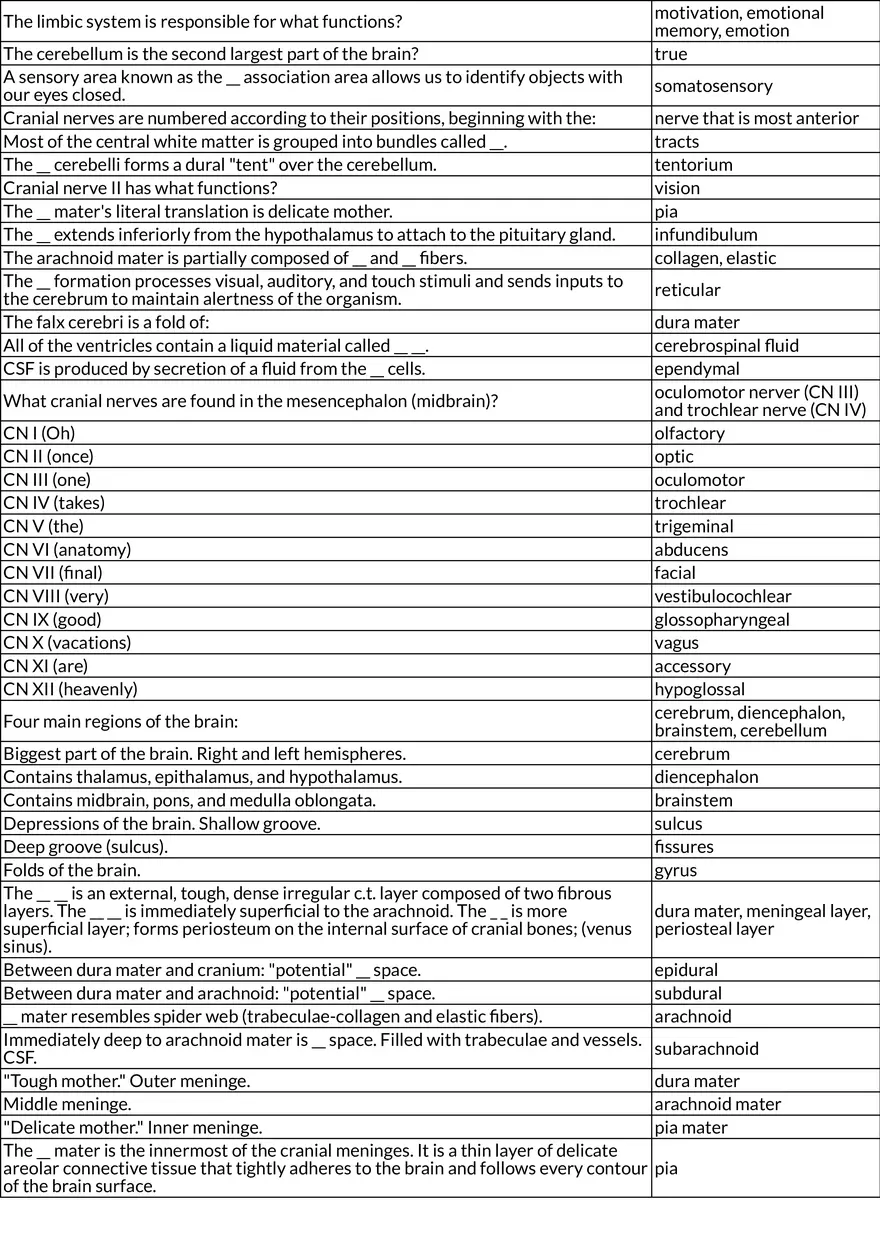 Brain Anatomy and Functional Regions - Page 2