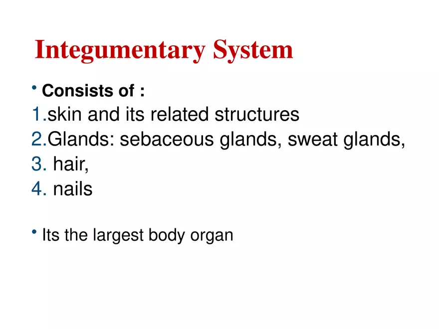 The Integumentary System Lecture - Page 7