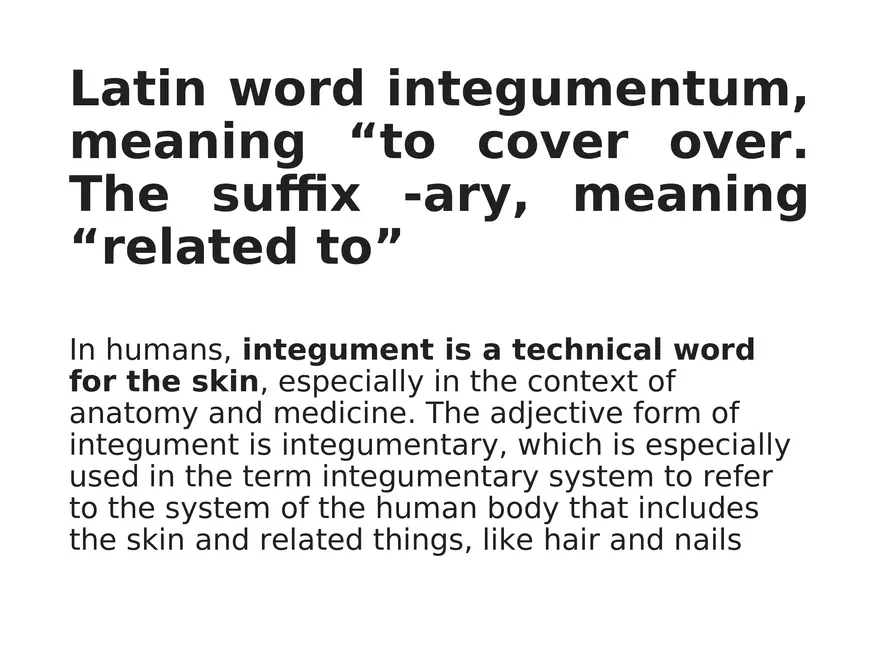The Integumentary System Lecture - Page 5