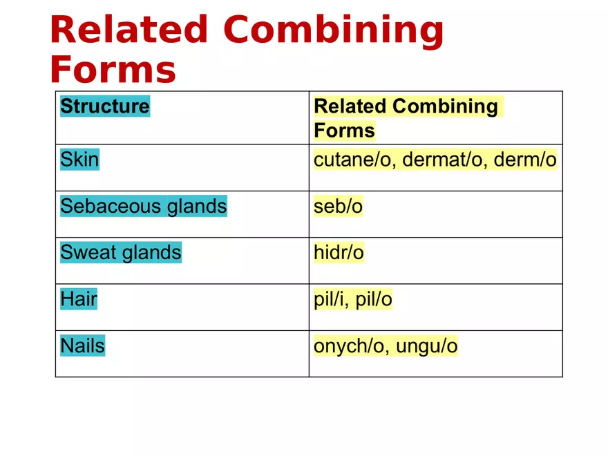 The Integumentary System Lecture - Page 6