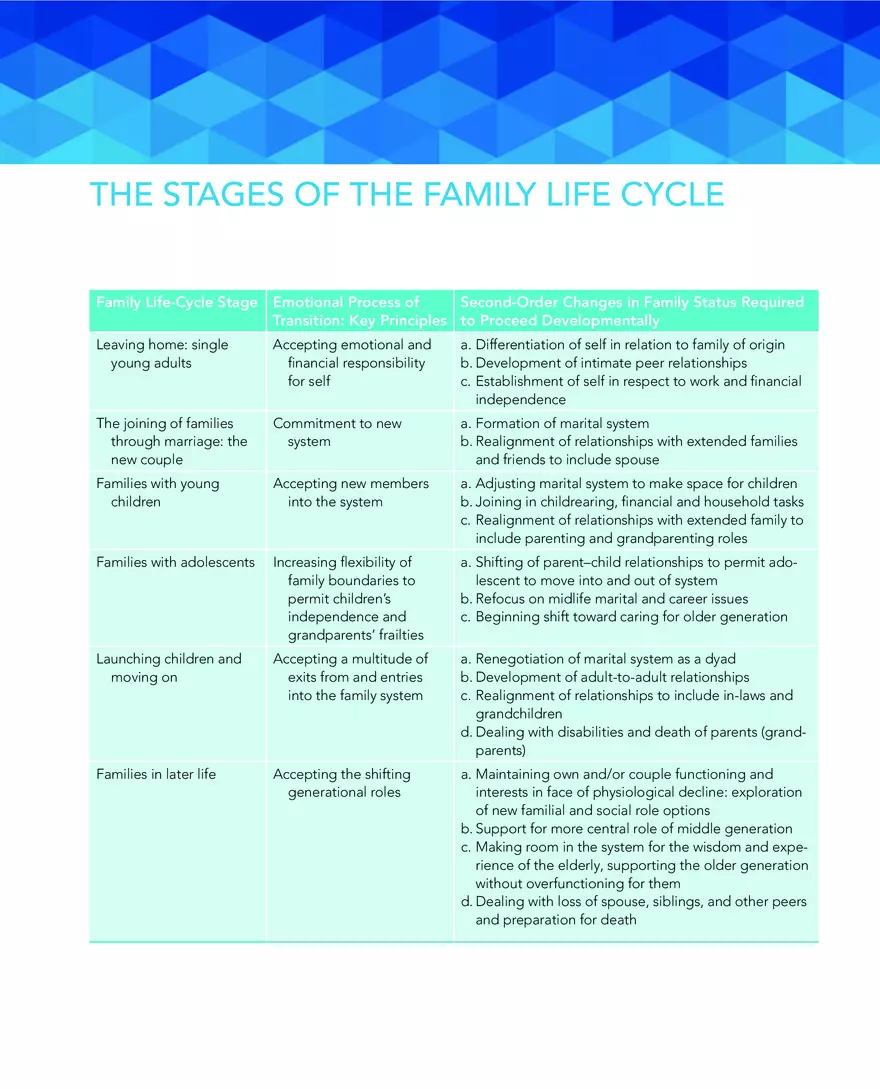 The Stages of the Family Life Cycle - Page 1