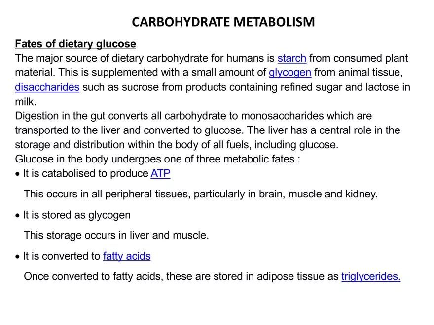 Carbohydrate Metabolism - Page 3