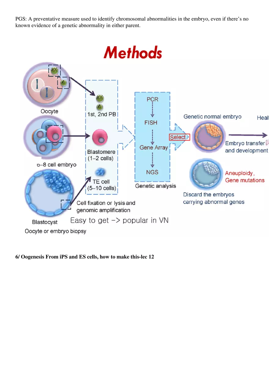 Final Stem Cell - Page 7