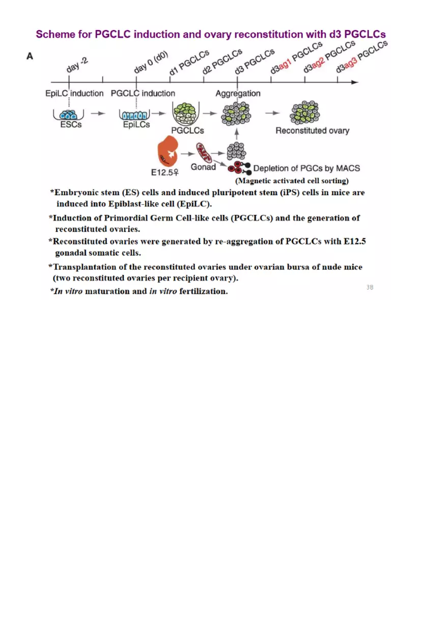 Final Stem Cell - Page 8