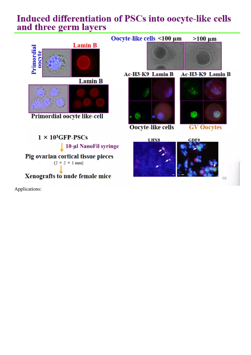 Final Stem Cell - Page 13