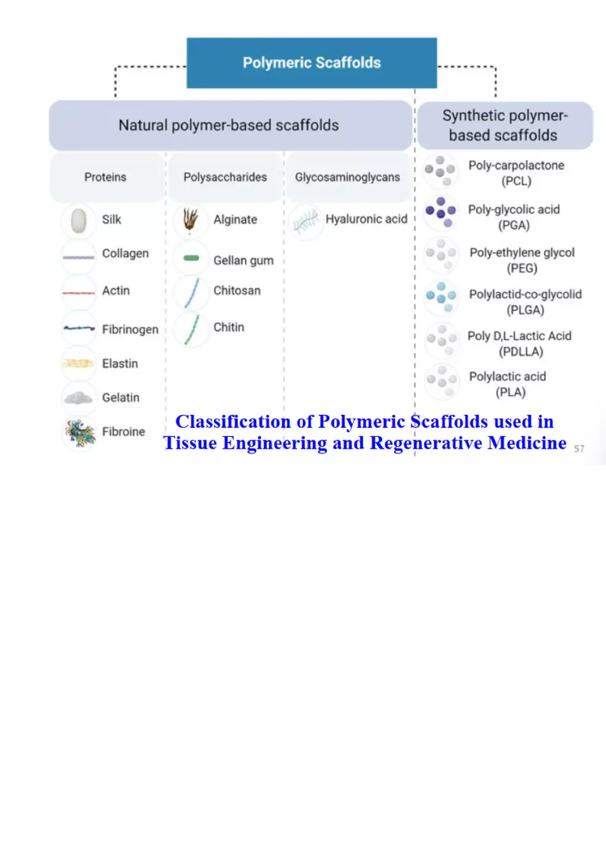Final Stem Cell - Page 16