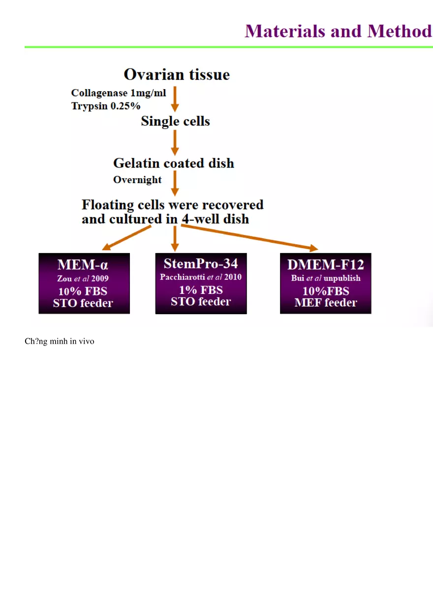 Final Stem Cell - Page 18