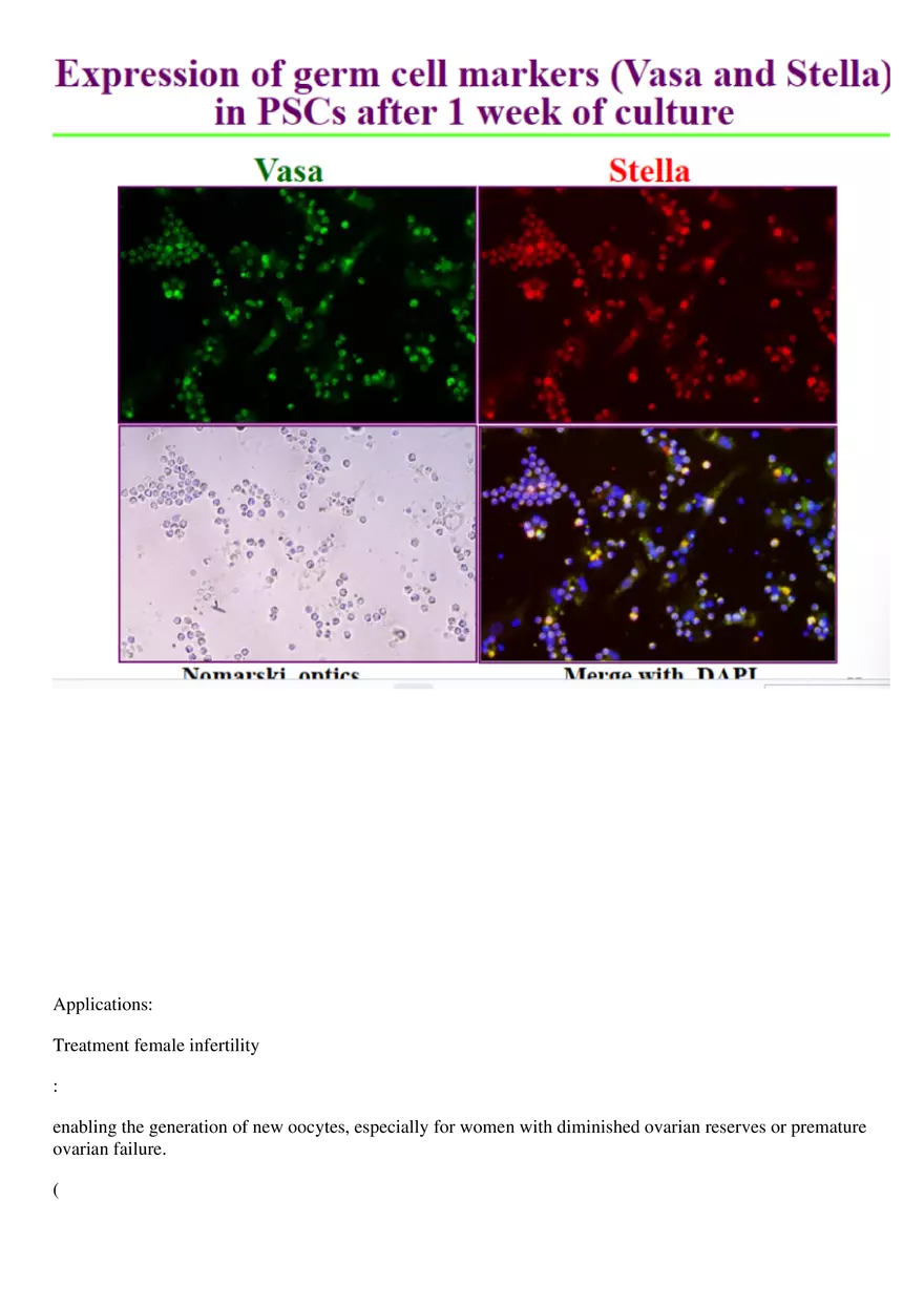 Final Stem Cell - Page 19
