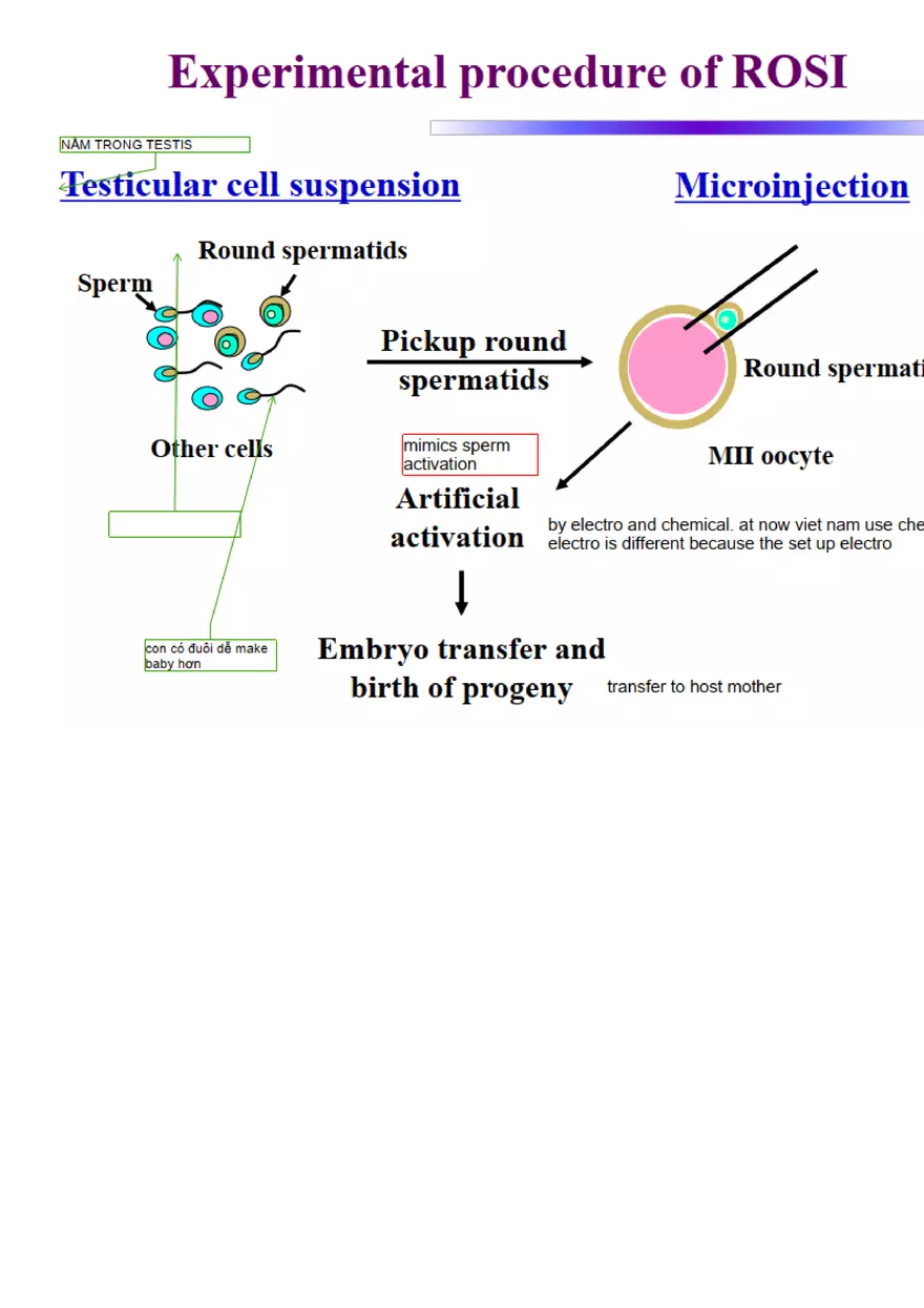 Final Stem Cell - Page 3