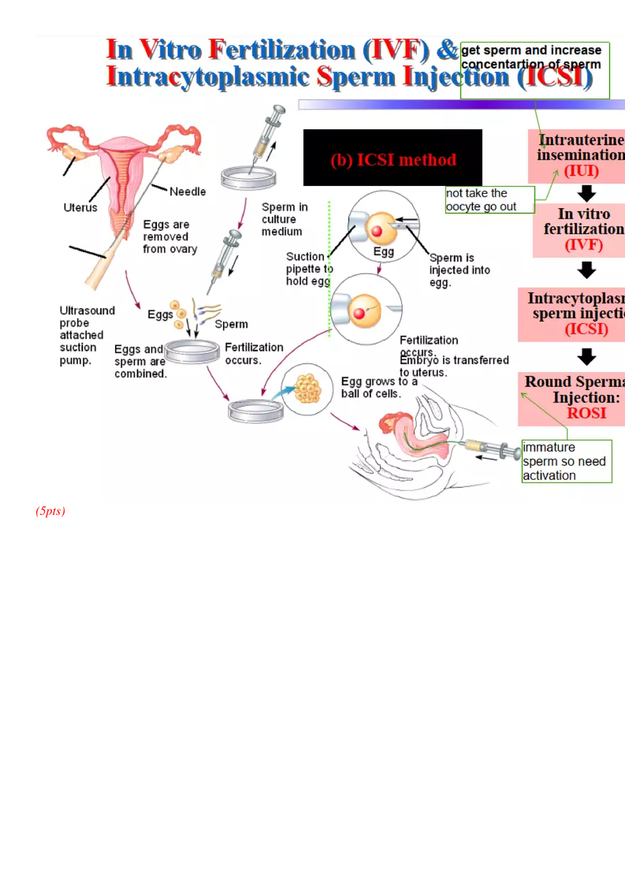 Final Stem Cell - Page 4