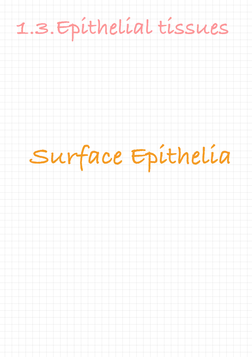 1.3 Connective and Supportive Tissues - Page 1