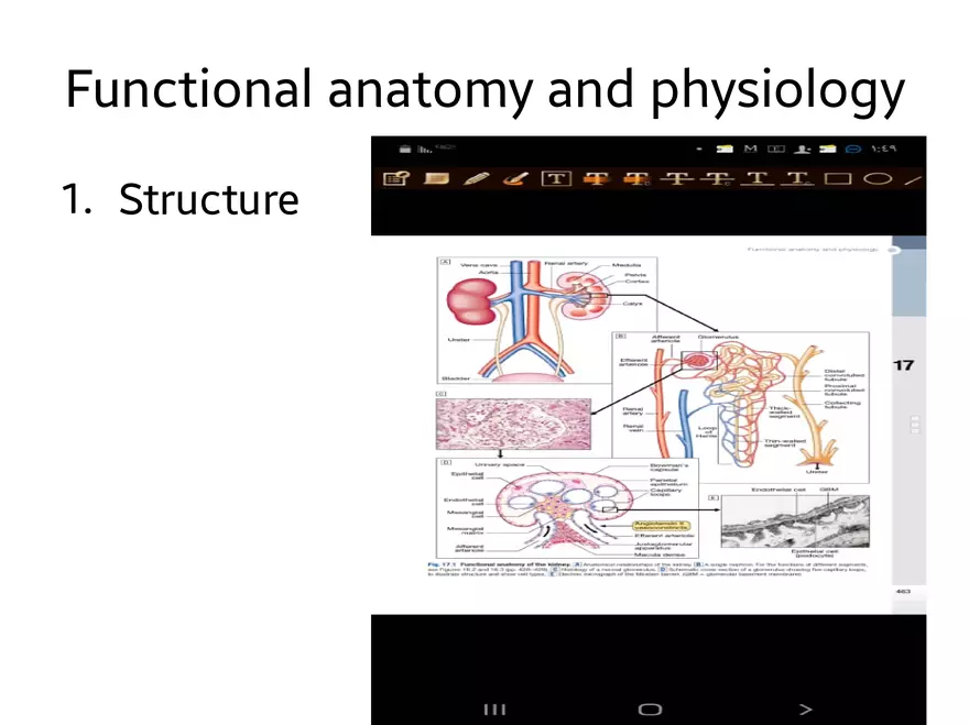Introduction and Approach to Nephrology - Page 2