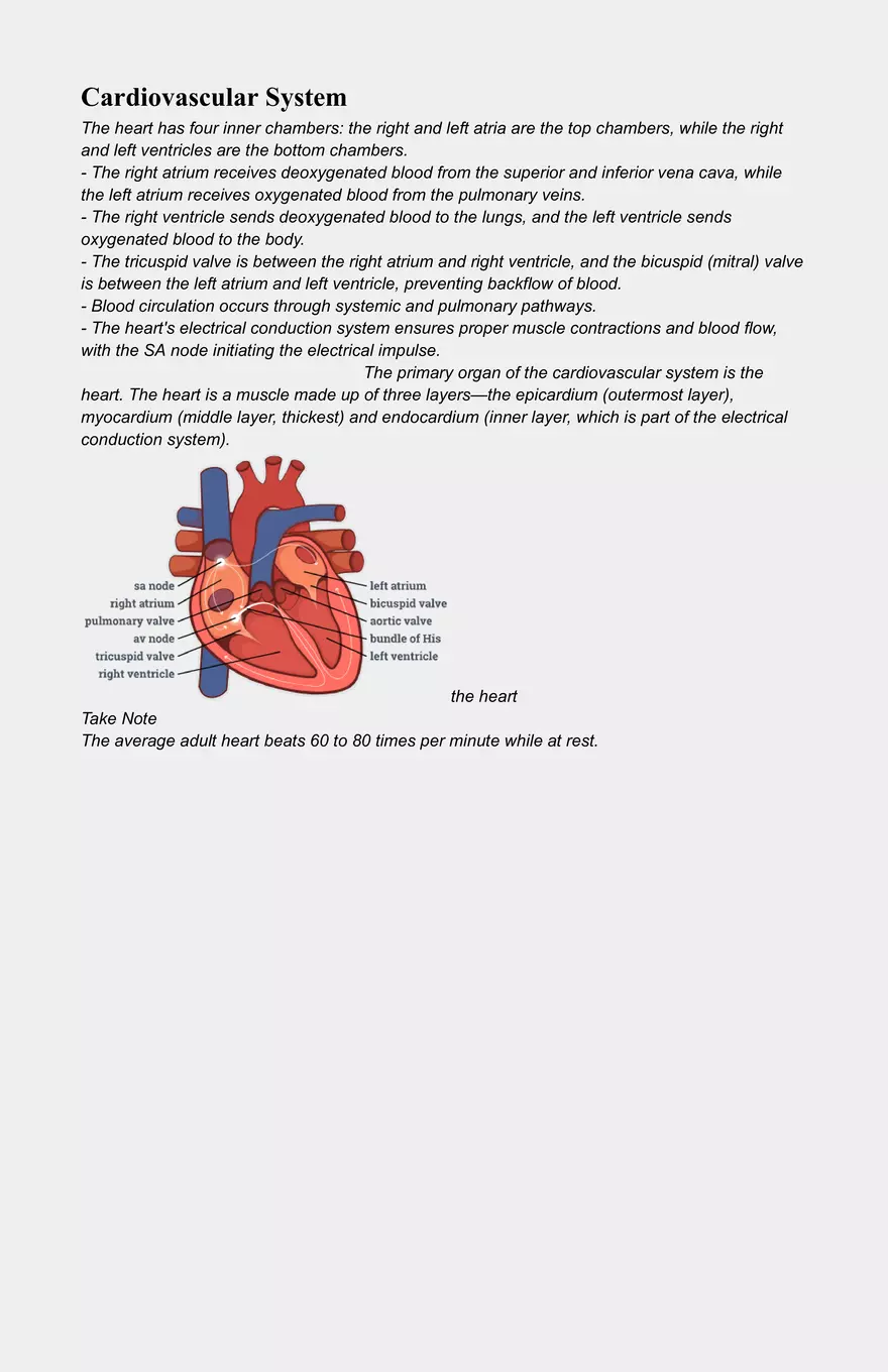Module 2 - Anatomy & Physiology Part 2 - Page 1