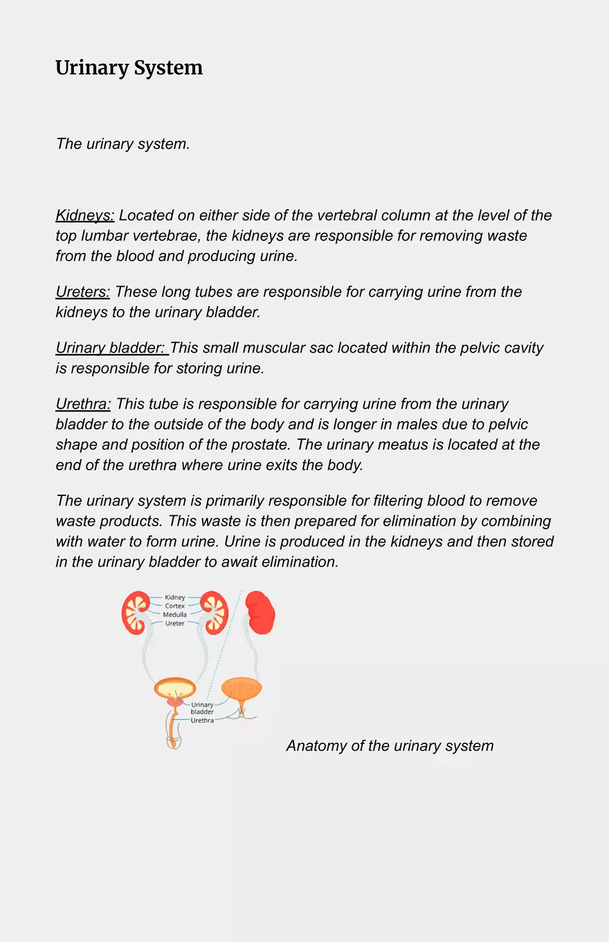 Module 2 - Anatomy & Physiology Part 2 - Page 2