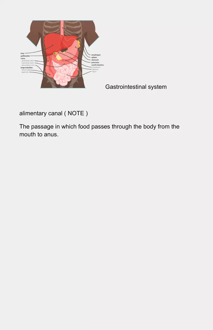 Module 2 - Anatomy & Physiology Part 2 - Page 5