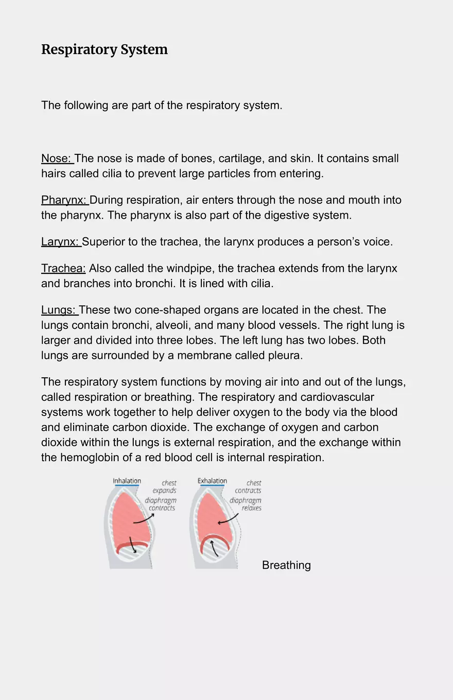 Module 2 - Anatomy & Physiology Part 2 - Page 6