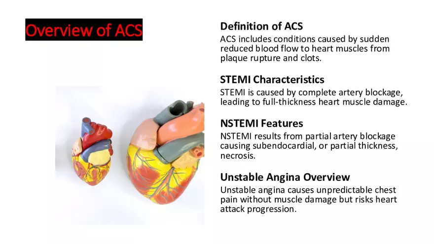 Cardiovascular TBL Сycle - Page 31