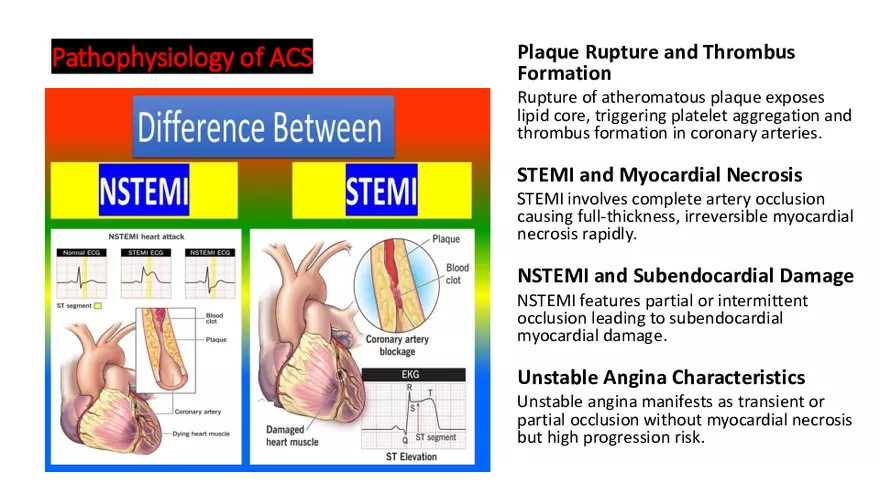 Cardiovascular TBL Сycle - Page 32