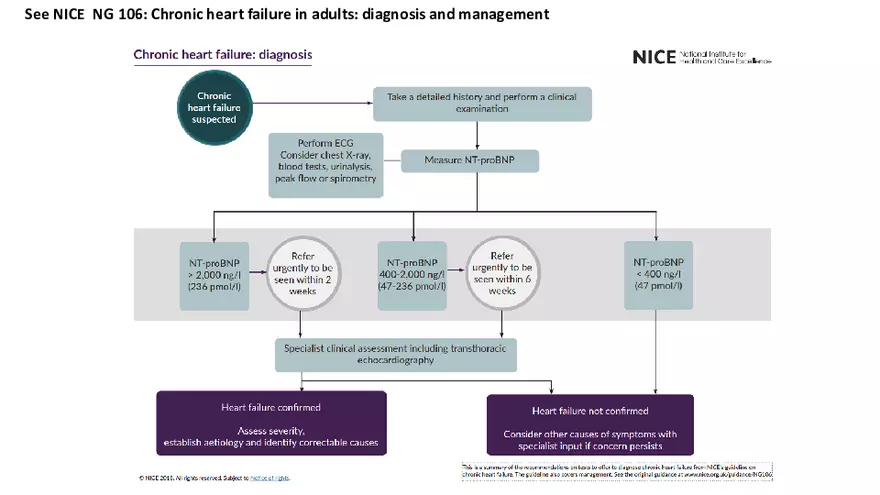 Cardiovascular TBL Сycle - Page 49