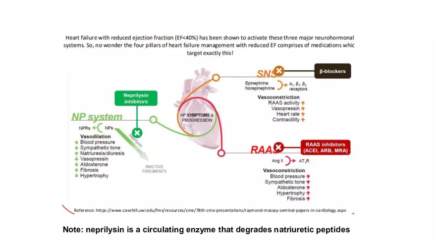 Cardiovascular TBL Сycle - Page 53